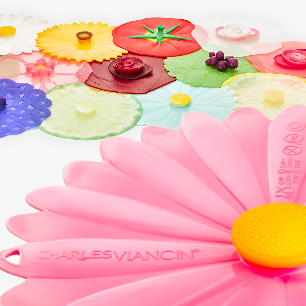 All CV products Maison Viancin USA Inc.