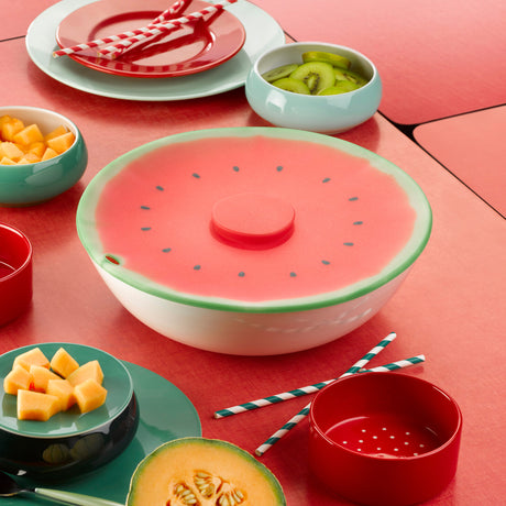 CHARLES-VIANCIN-10101-10102-10103-WATERMELON-LID-11-SILICONE-AMBIANCE.jpg