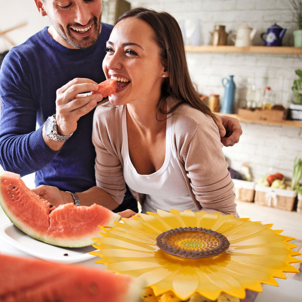 Soak Up the Sun Lid Bundle (6pcs)