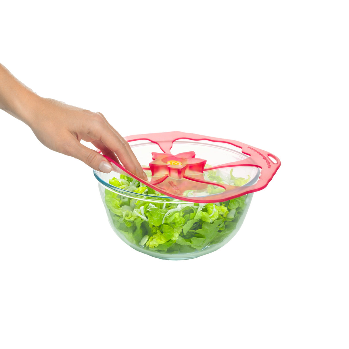 Best Sellers Lid Bundle (4pcs)