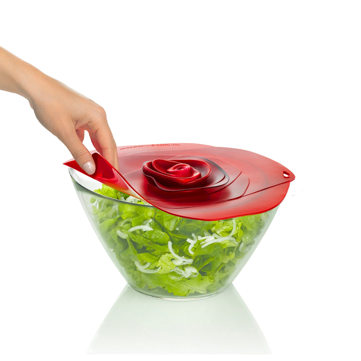 Rose Garden Lid Bundle (8pcs)