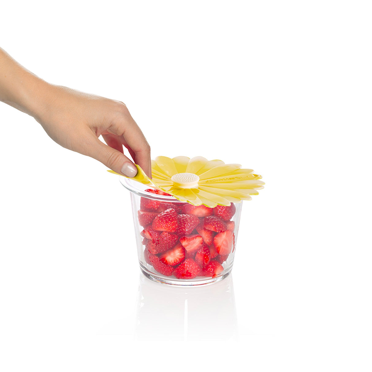 Field of Daisies Lid Bundle (6pcs)