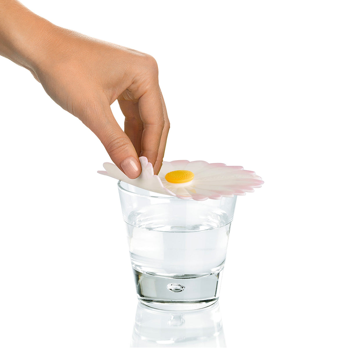 Field of Daisies Lid Bundle (6pcs)