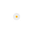 CHARLES-VIANCIN-2548-DAISY-BOTTLE-STOPPERS-WHITE-SILICONE-TOP-1jpg.jpg