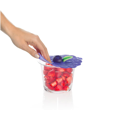 Berry Special Lid Bundle (6pcs)