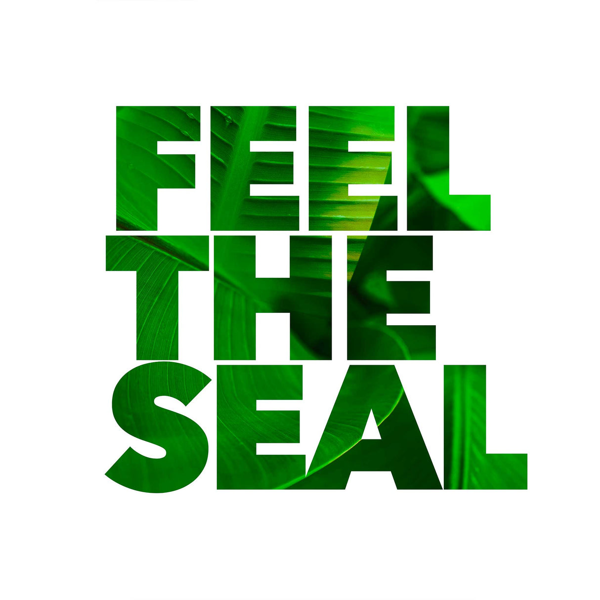 Berry Special Lid Bundle (6pcs)