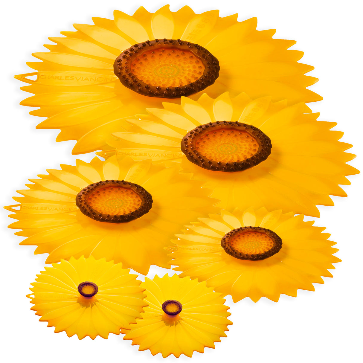 Soak Up the Sun Lid Bundle (6pcs)