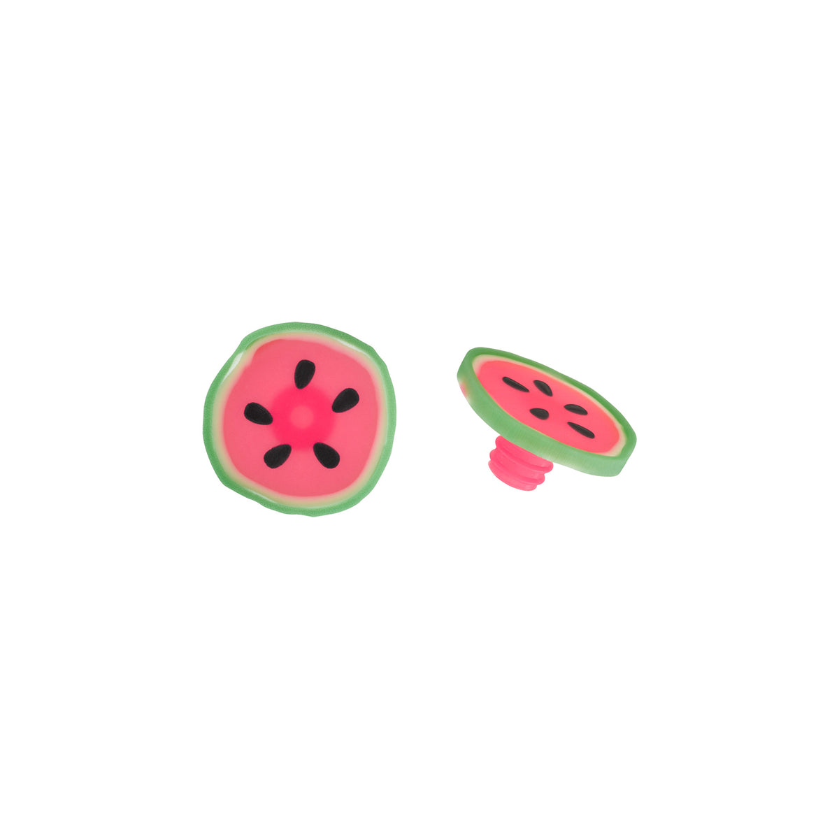CHARLES-VIANCIN-10106-WATERMELON-BOTTLE-STOPPERS-24-SILICONE-TOP-1.jpg