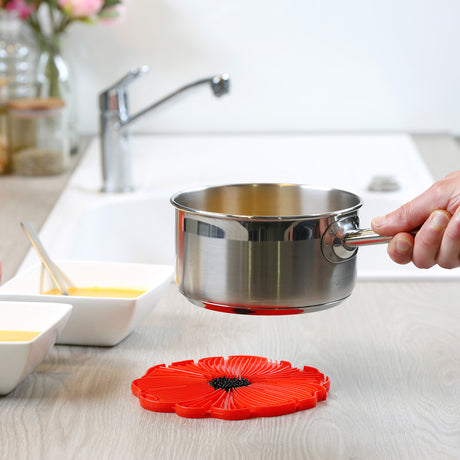 CHARLES-VIANCIN-10751-2920-POPPY-TRIVET-8-SILICONE-USAGE1.jpg