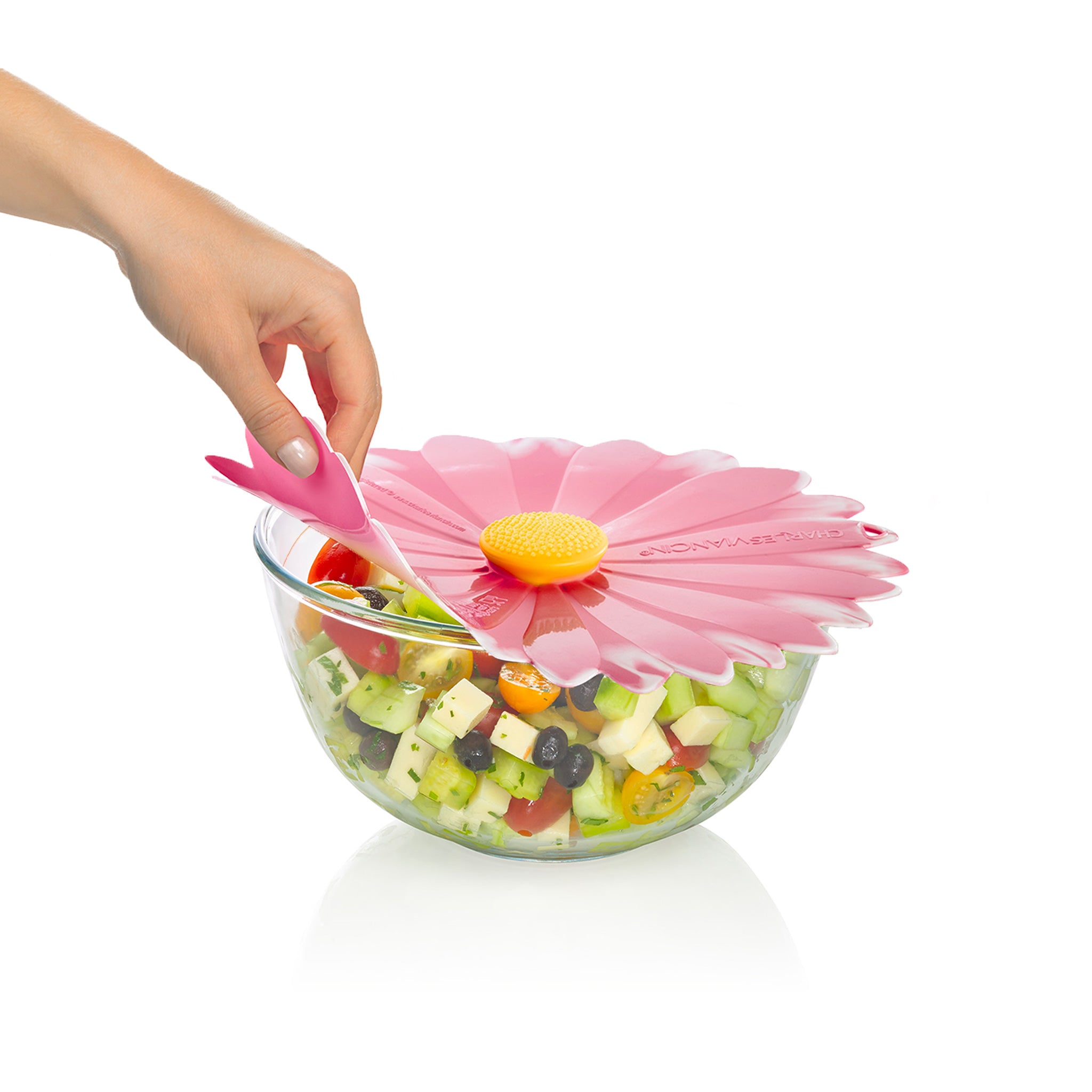 Daisy Lid 8