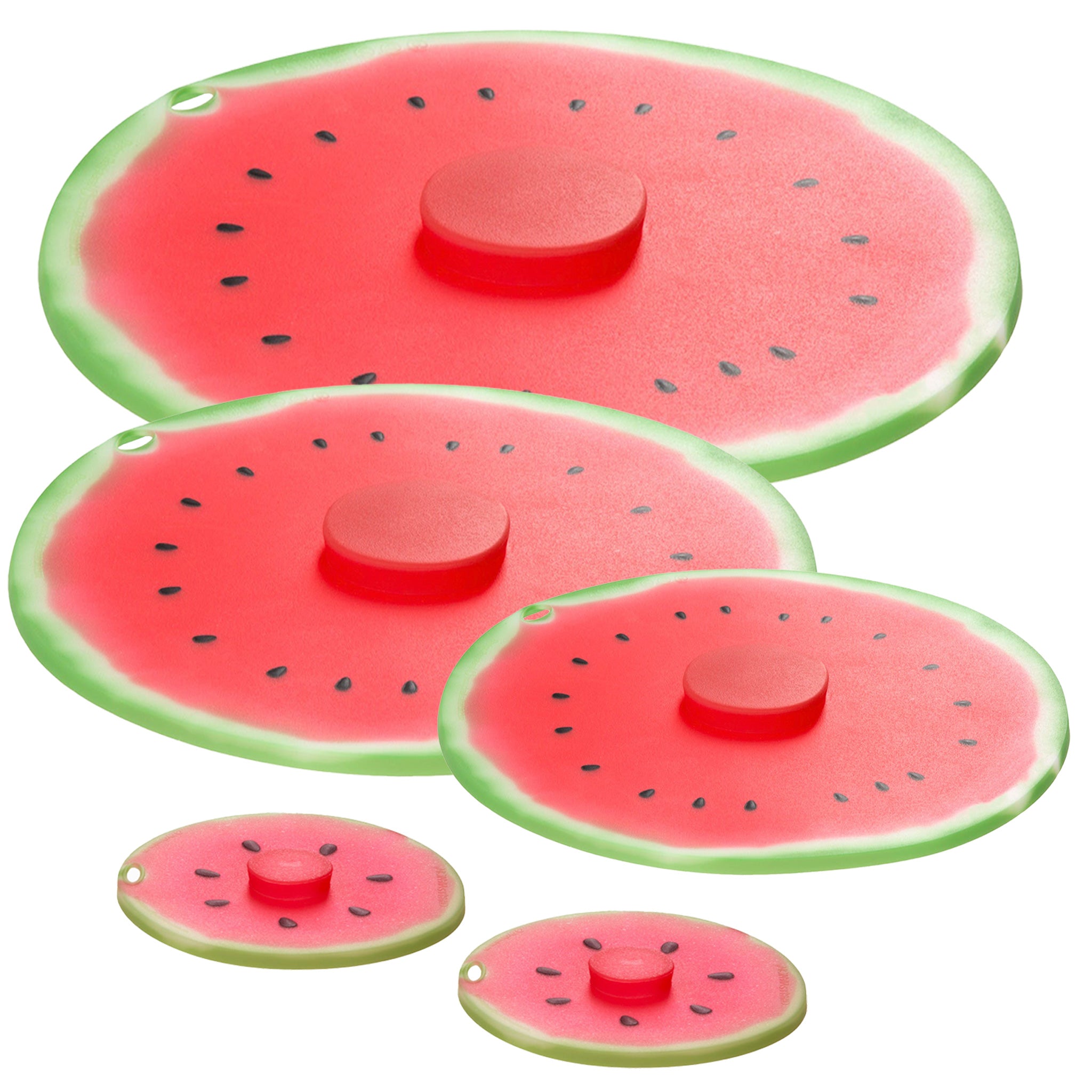 邦楽 WATER MELON NO RUTA DE EVACUACION Watermelon Patch Lid Bundle (5pcs) – Maison Viancin USA Inc.